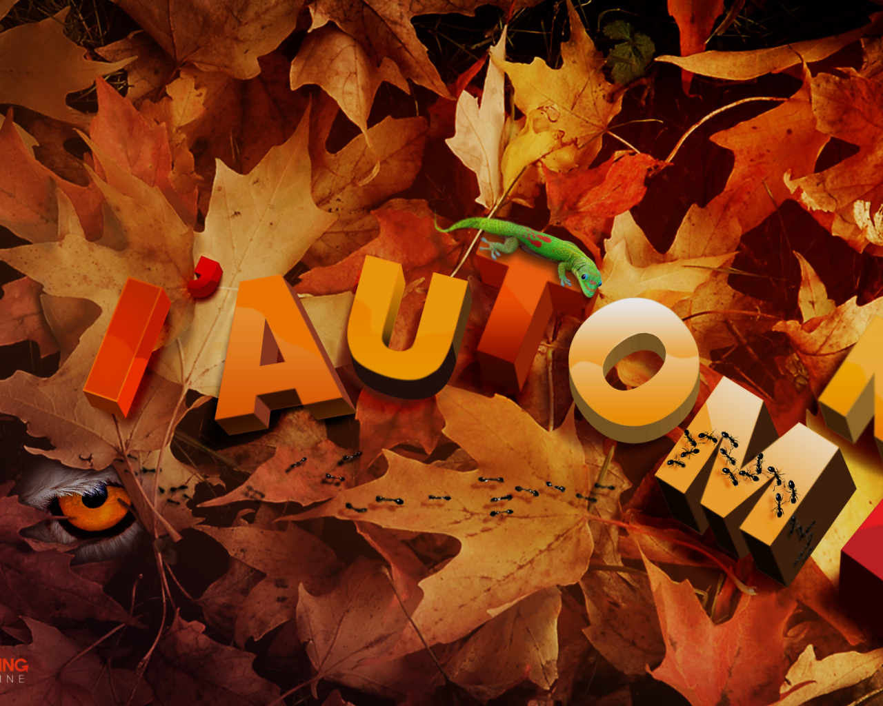 Осенняя тема