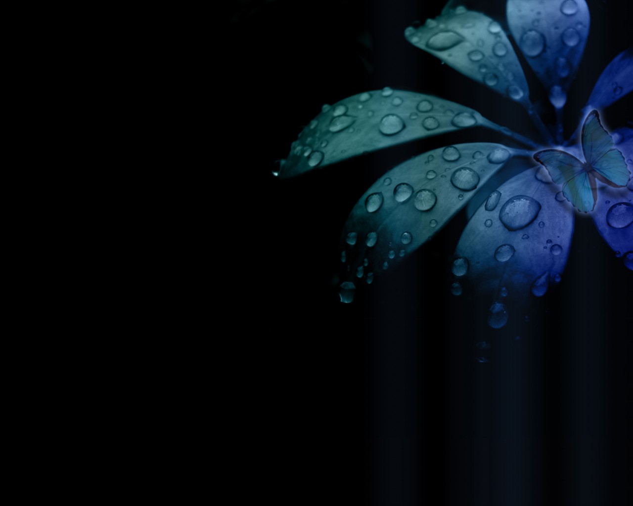 Бабочка на цветке