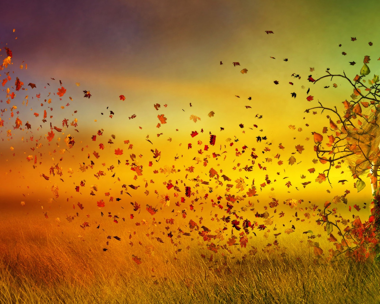 Изображение осени