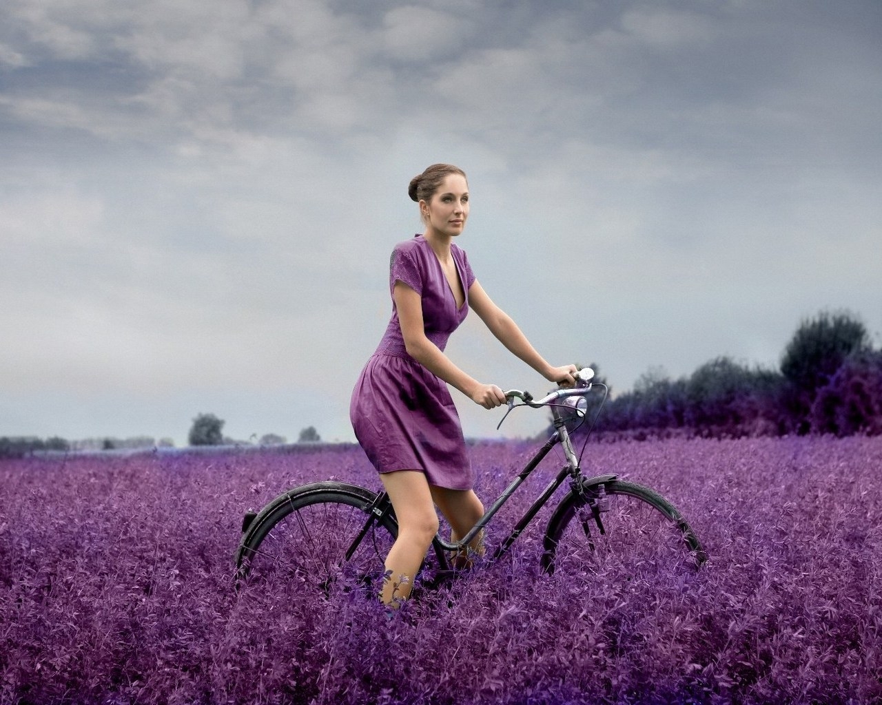 В поле на велосипеде
