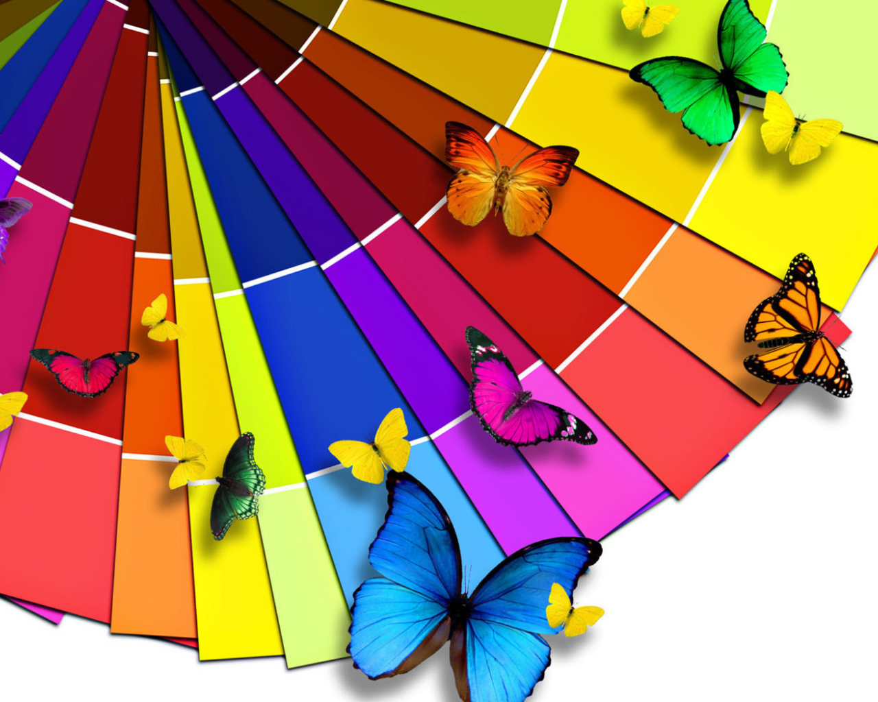 Разноцветные бабочки