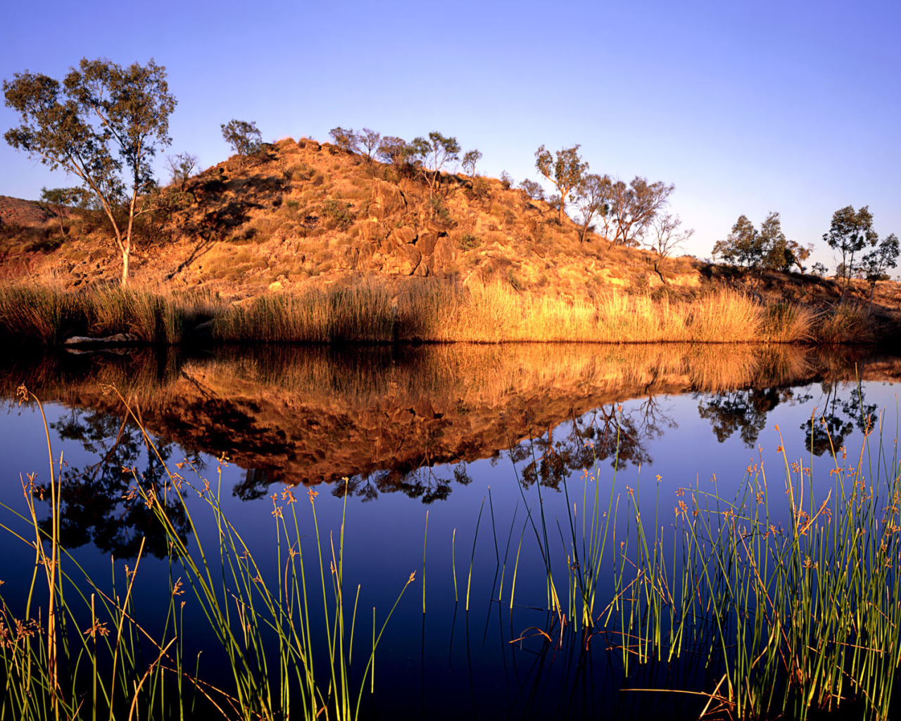 Река в Австралии