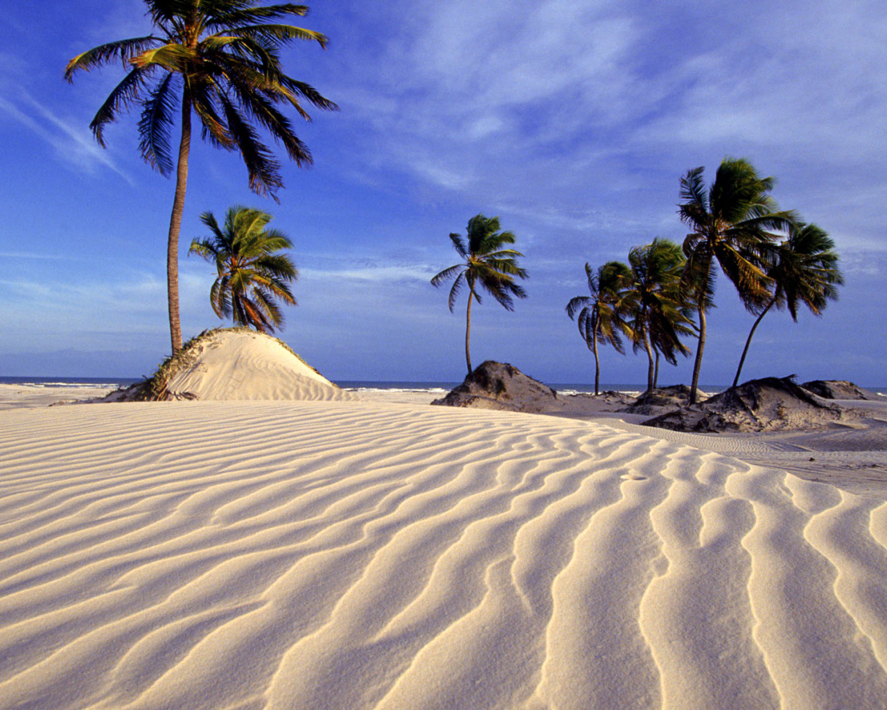 Пляж и пальмы в Бразилии