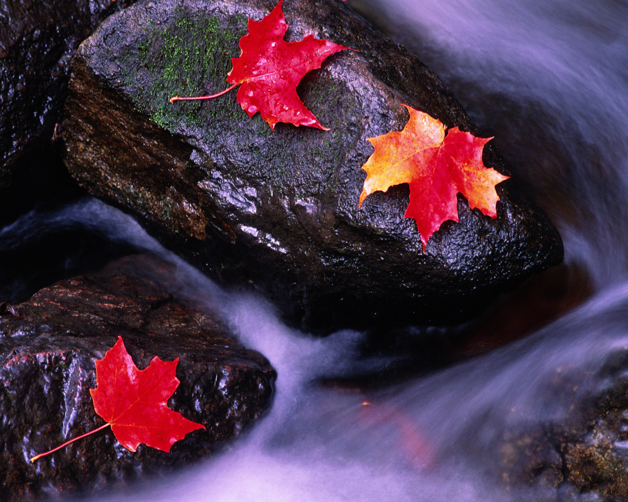 Реки Канады