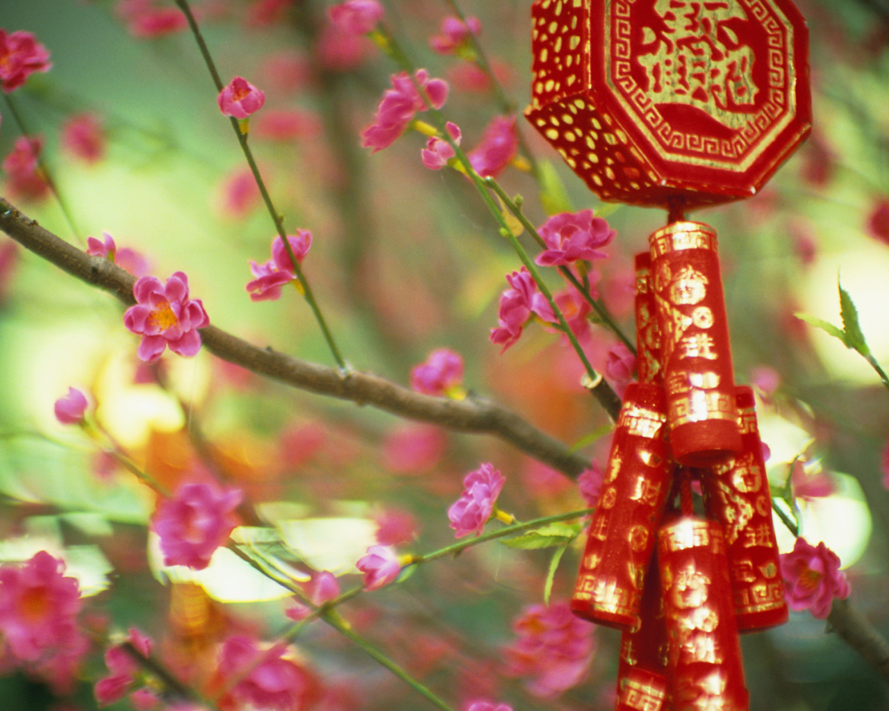 Цветущие растения в Китае