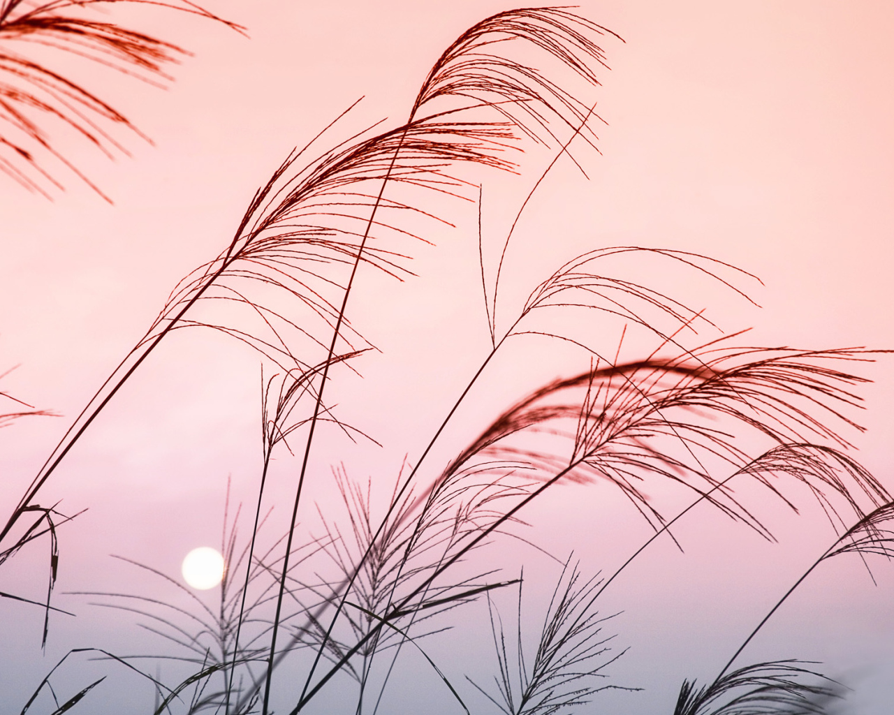 Солнечный закат в Китае