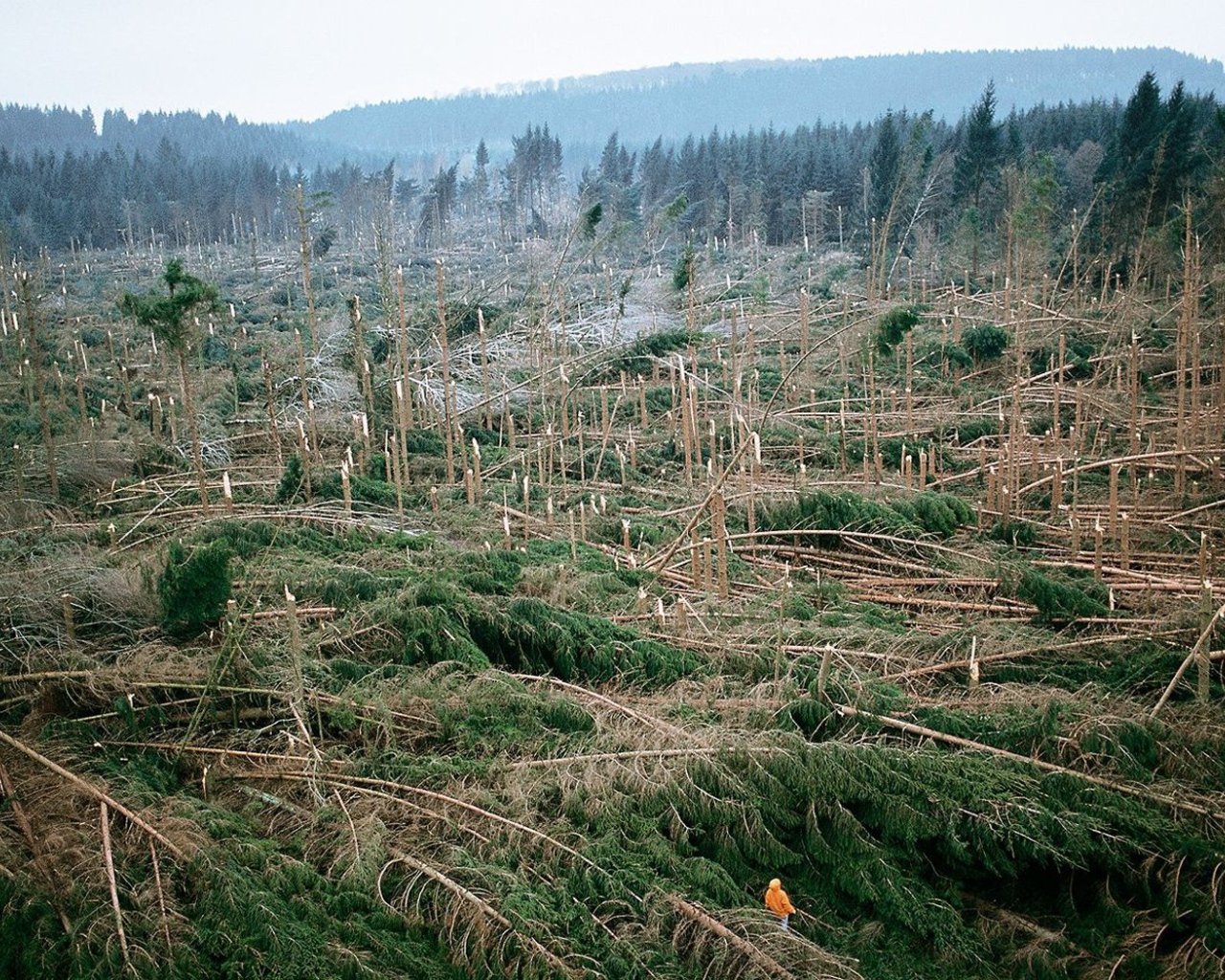 После урагана во Франции