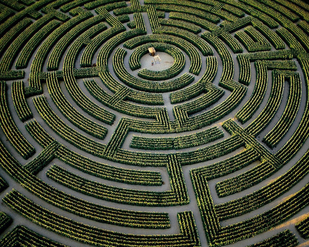 Сад лабиринт