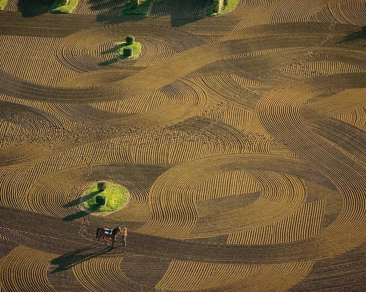 Лошадиная арена Франция