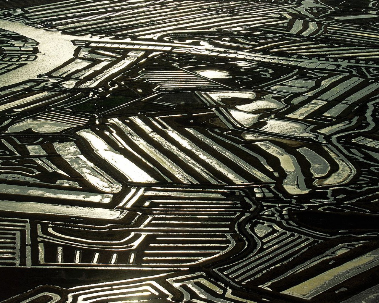 Устричные фермы