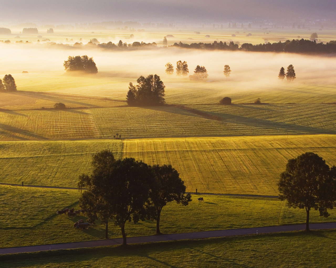 Поля в Германии
