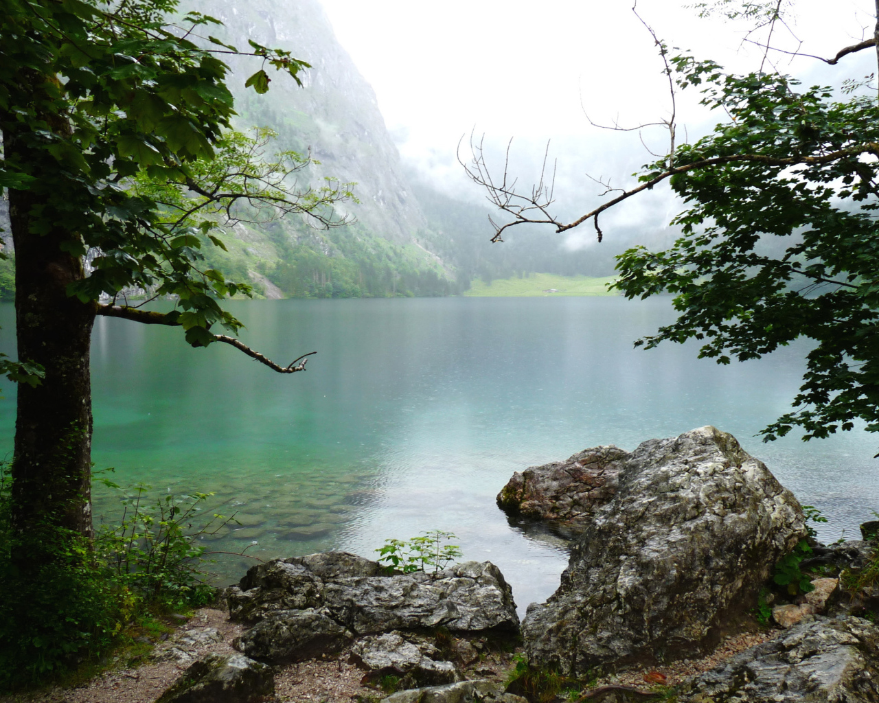 Природа Баварии