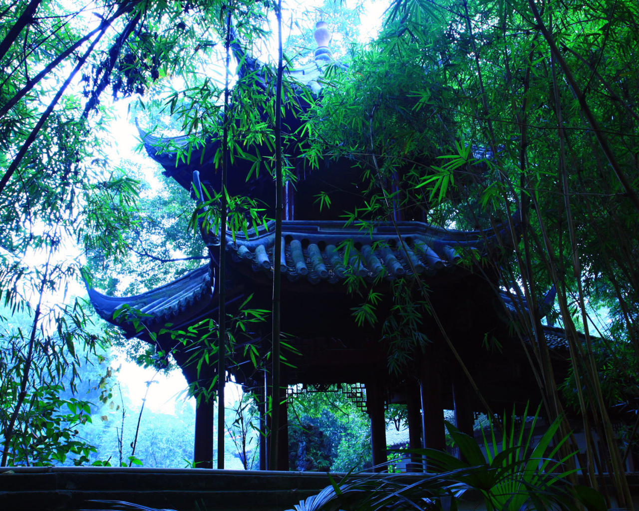 В японском саду