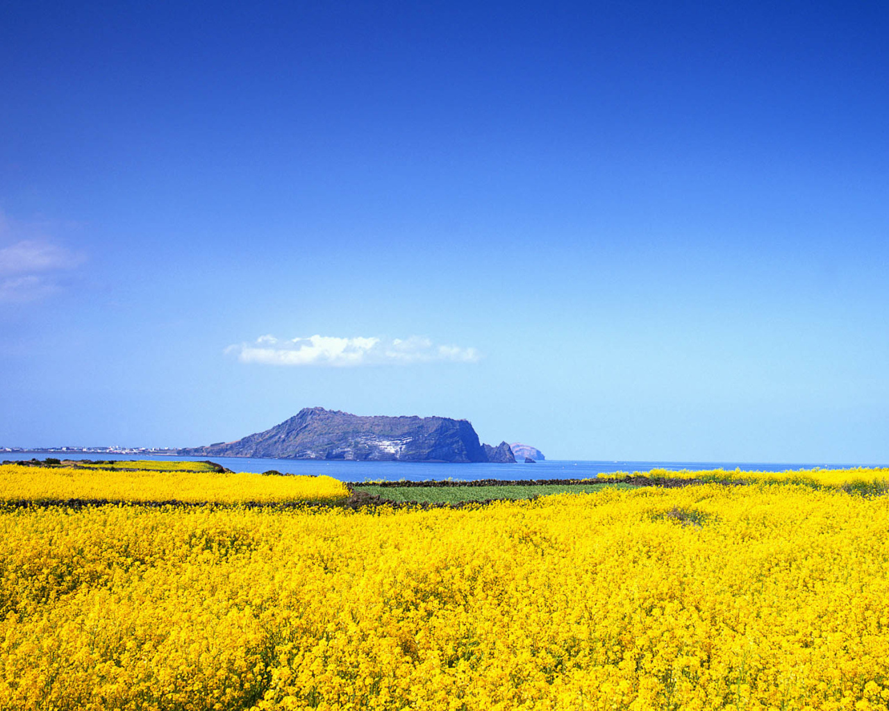 Дом в Корее