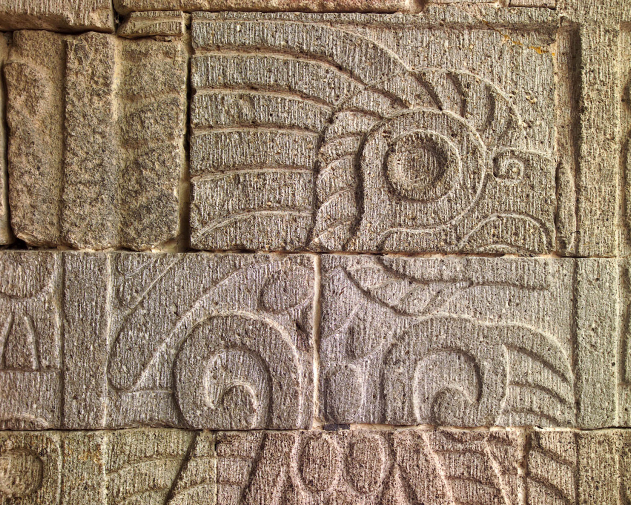 Ацтеки Тольтеки Ольмеки Инки Майя