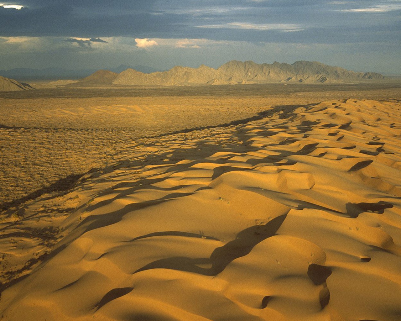 Мексиканская пустыня