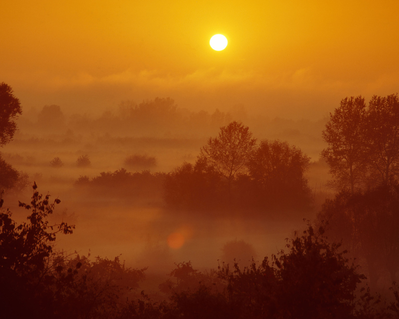 Туман на закате