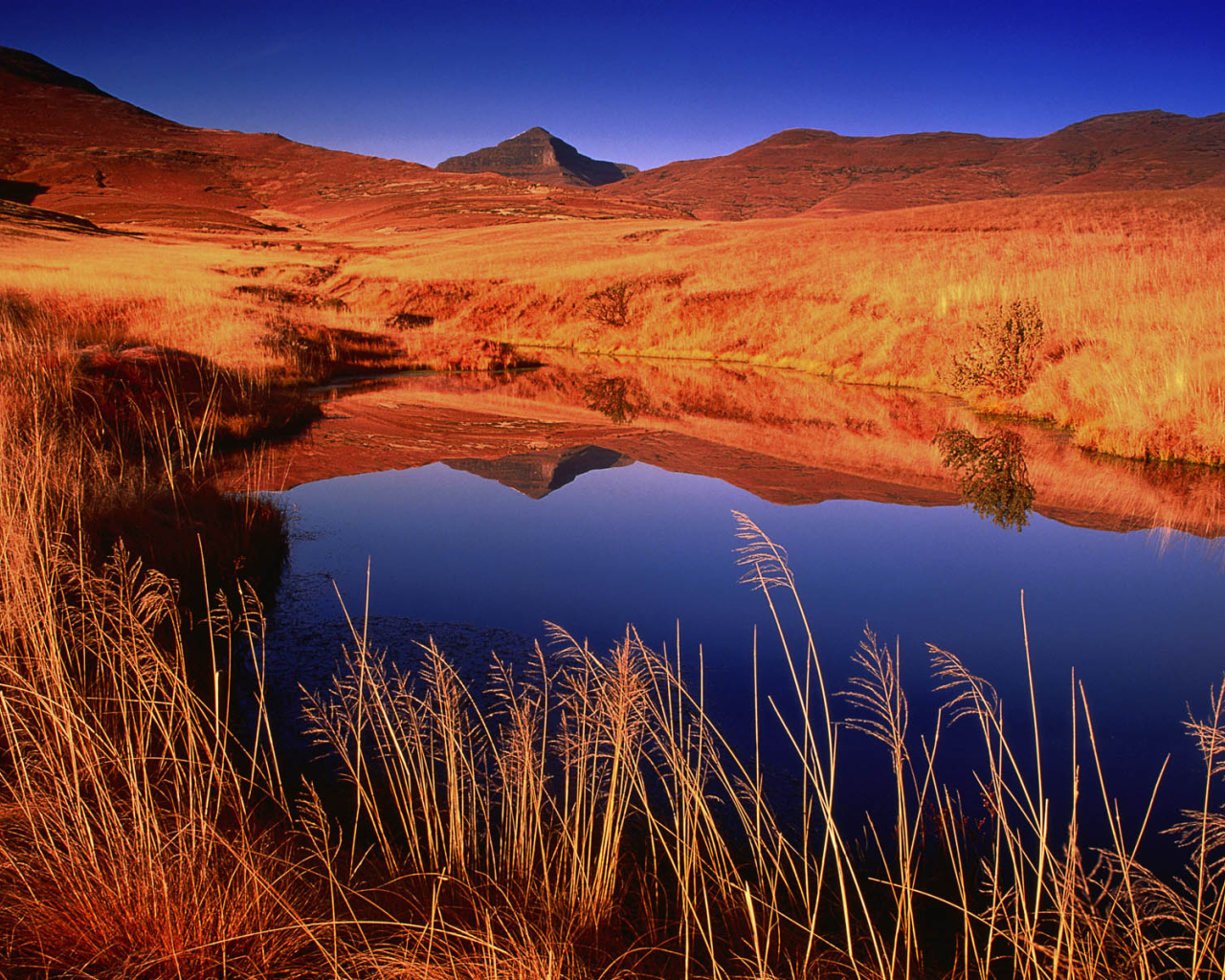 Небольшое озеро