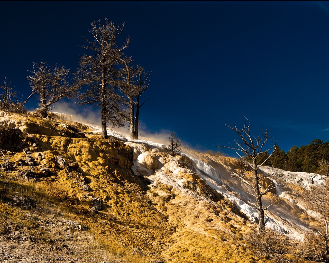 Природа в Йеллоустоуне США