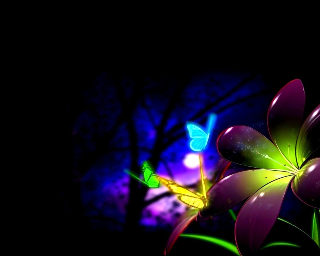 Цветок и бабочки в ночи