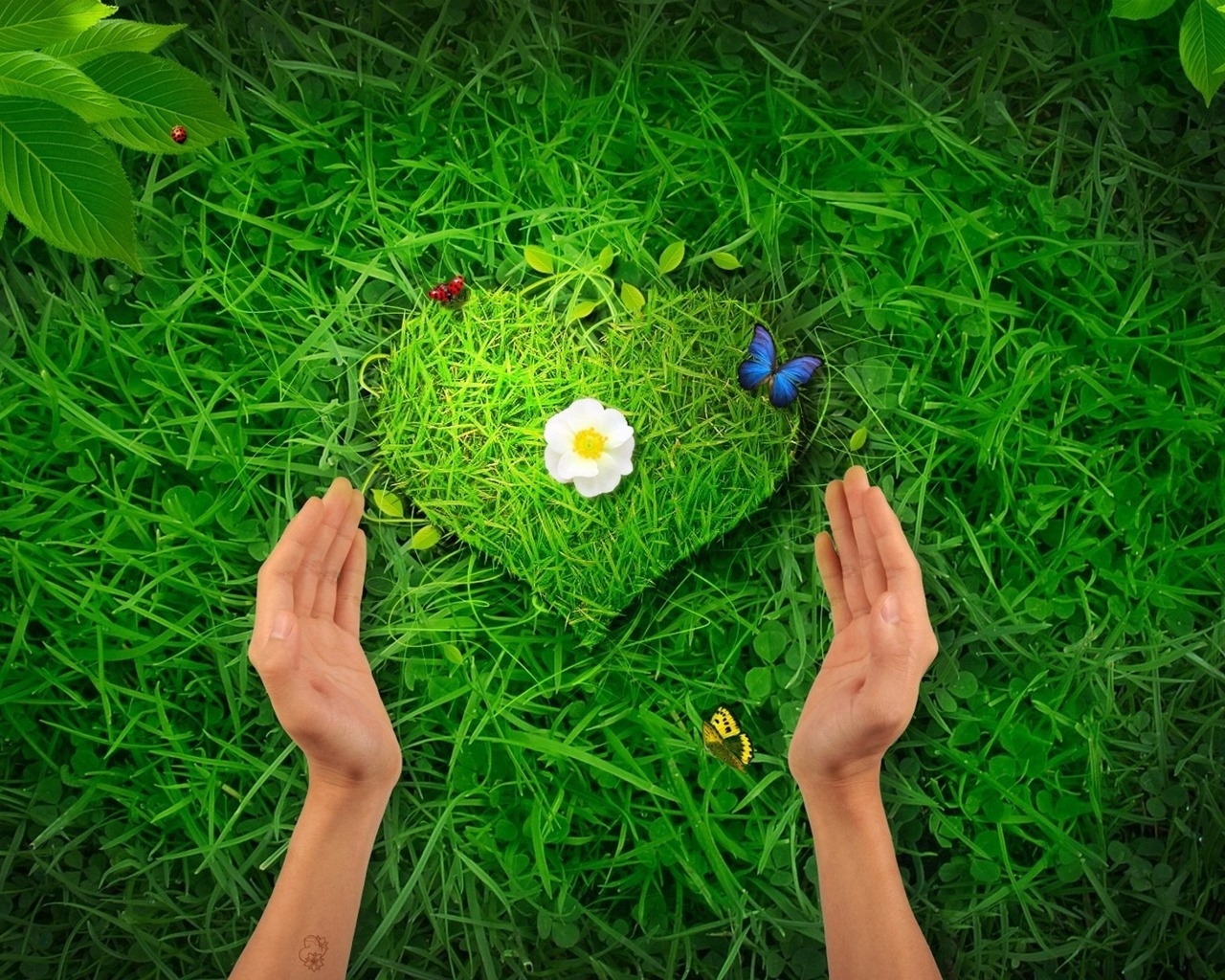 Травяное сердце