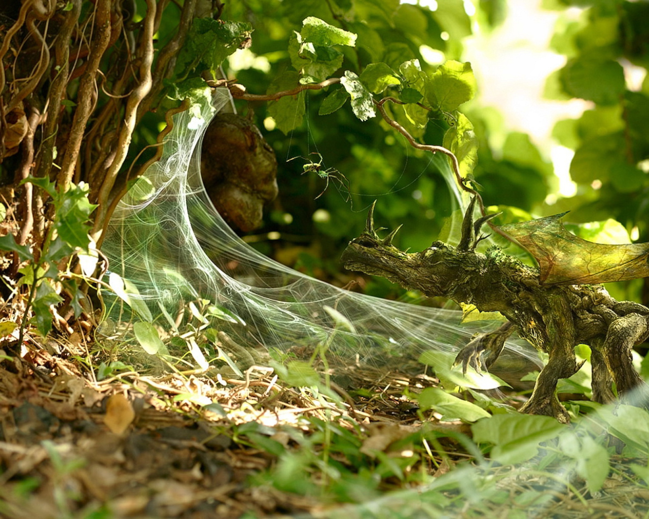 Маленький дракон