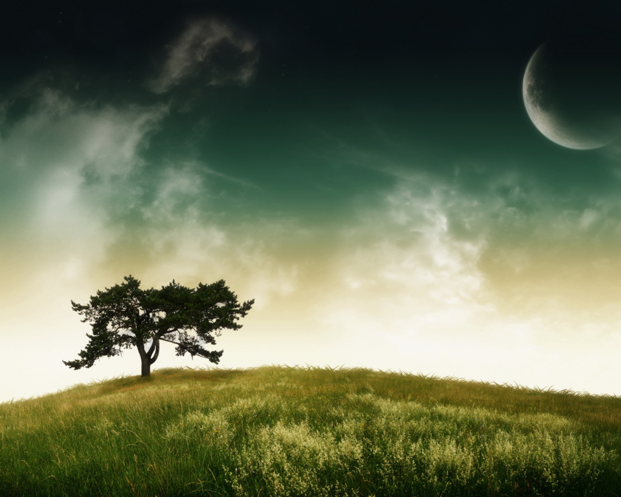 Дерево, небо, планета
