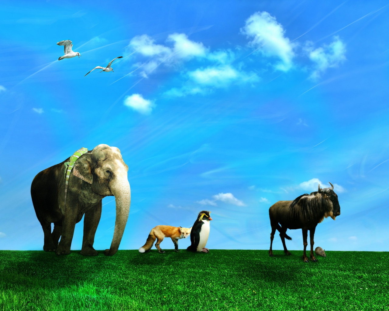 Дикие животные