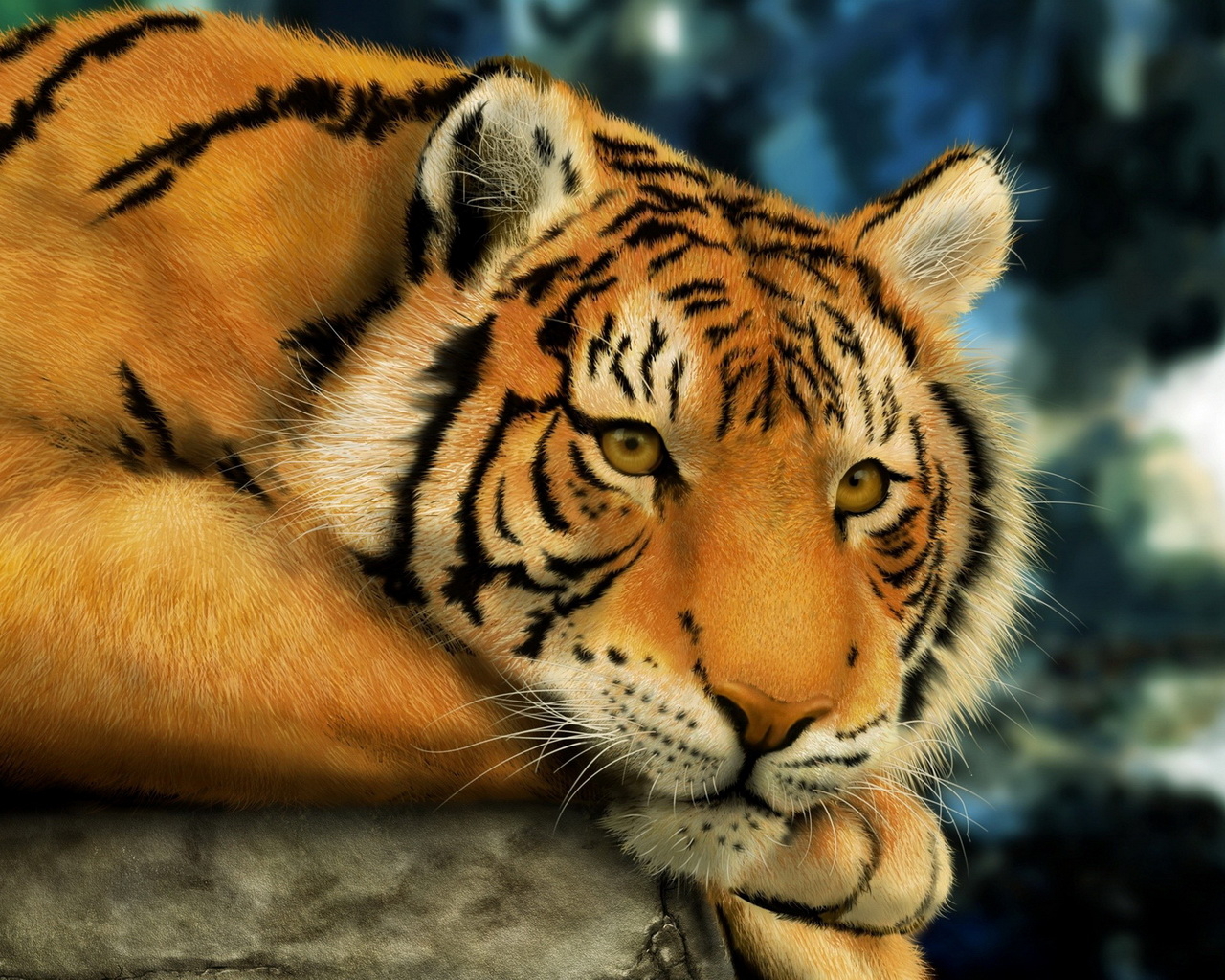 Взгляд тигра