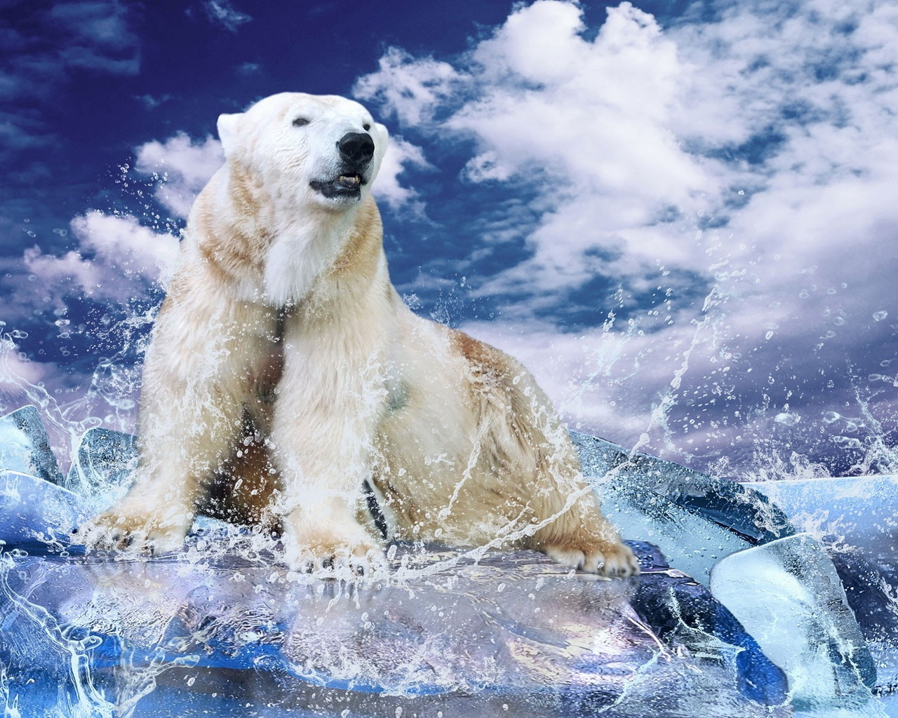 Белый медведь на льду