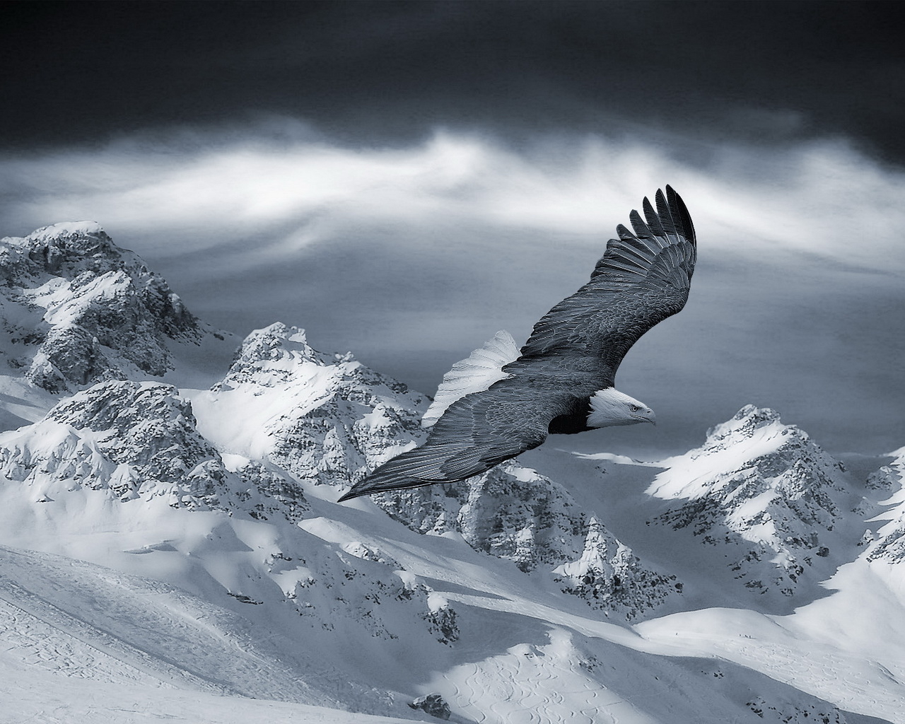 Орел в полете