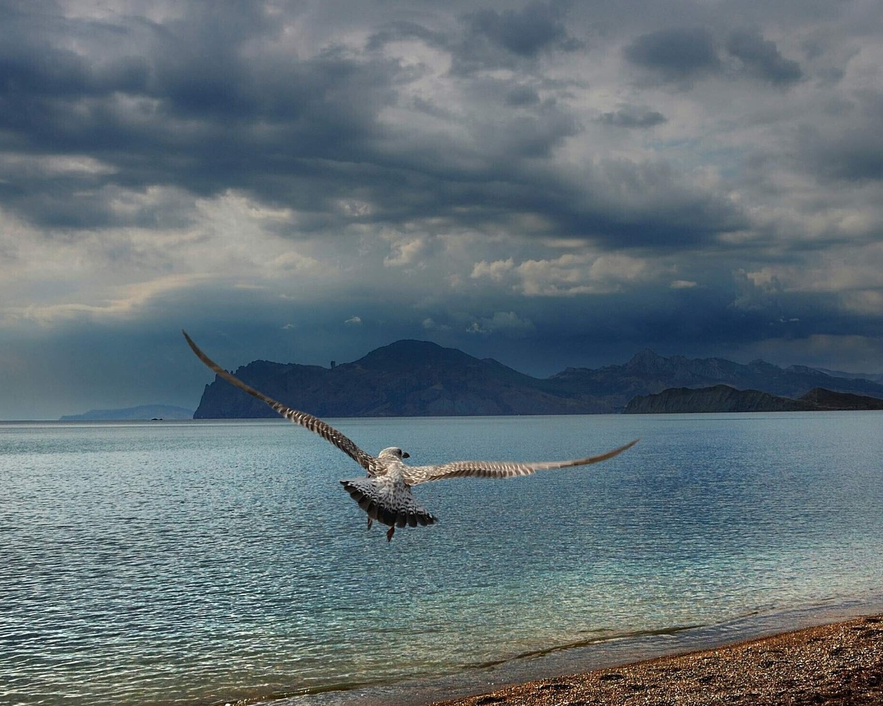 Расправив крылья