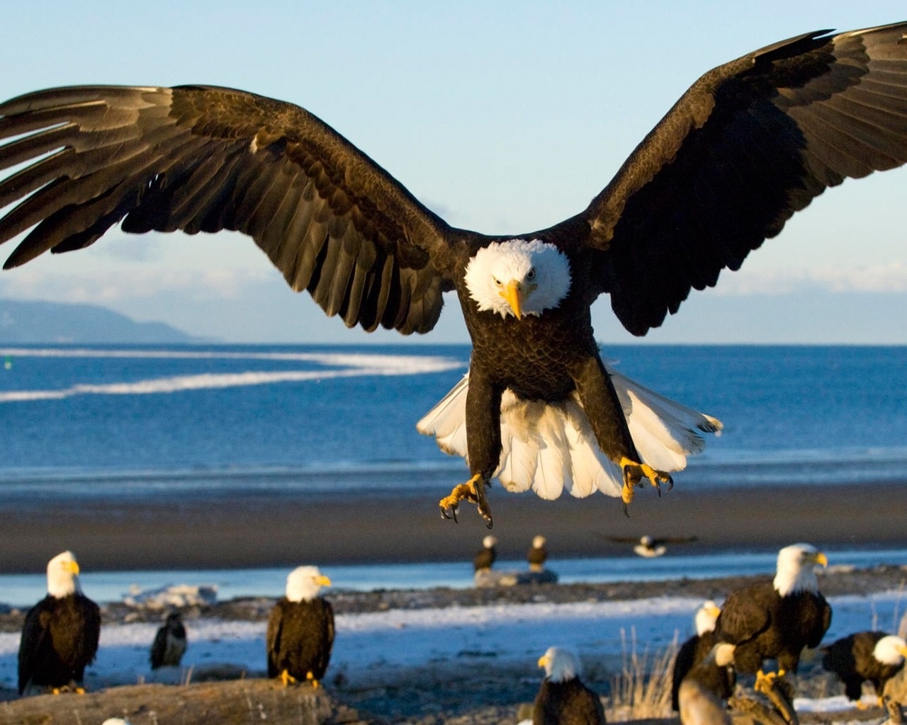 Грозный орел