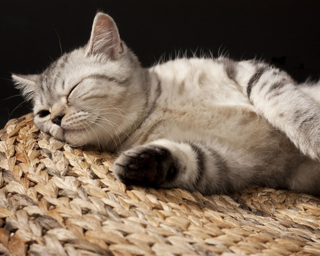 Кошка на корзине