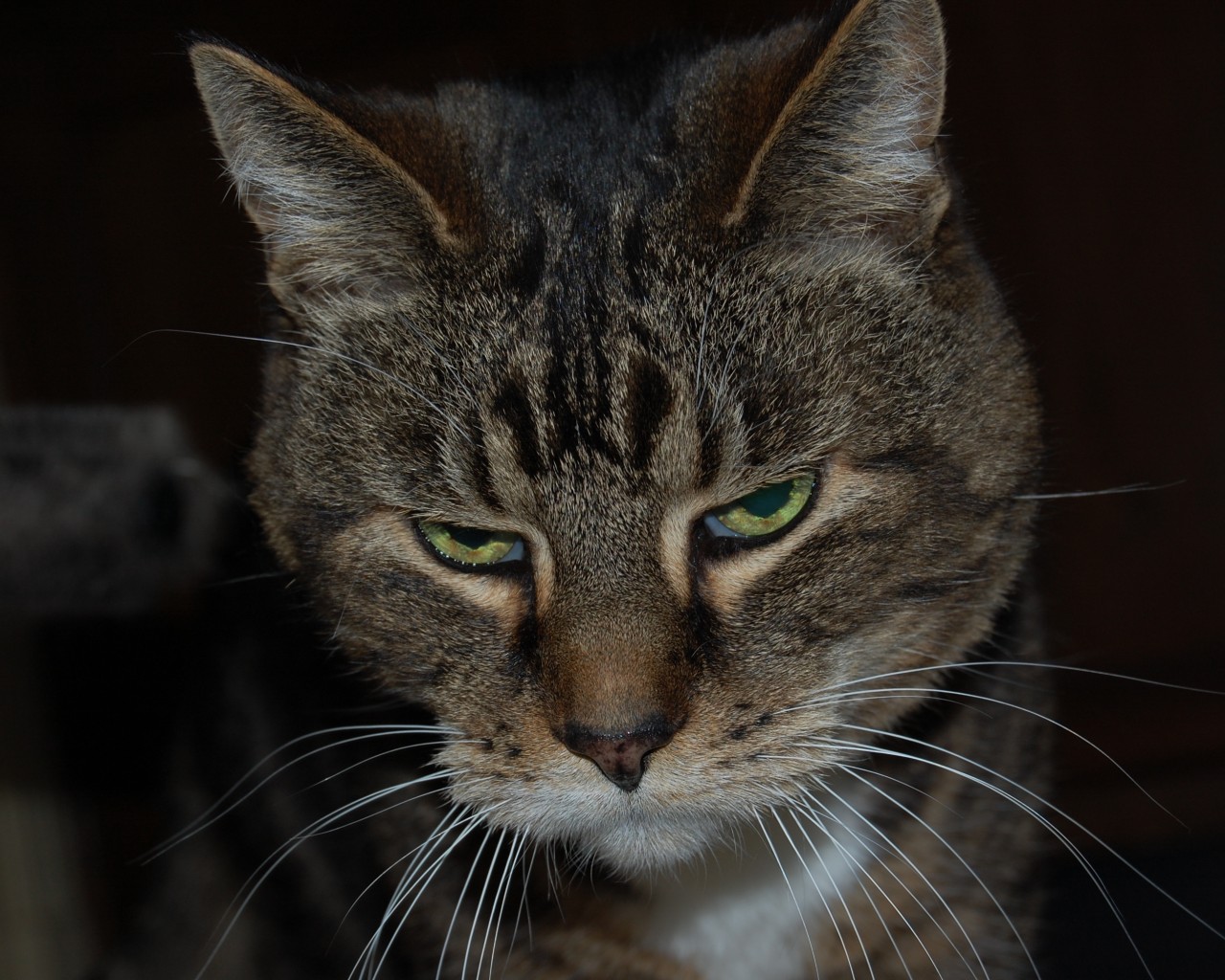 Весна сводит меня с ума