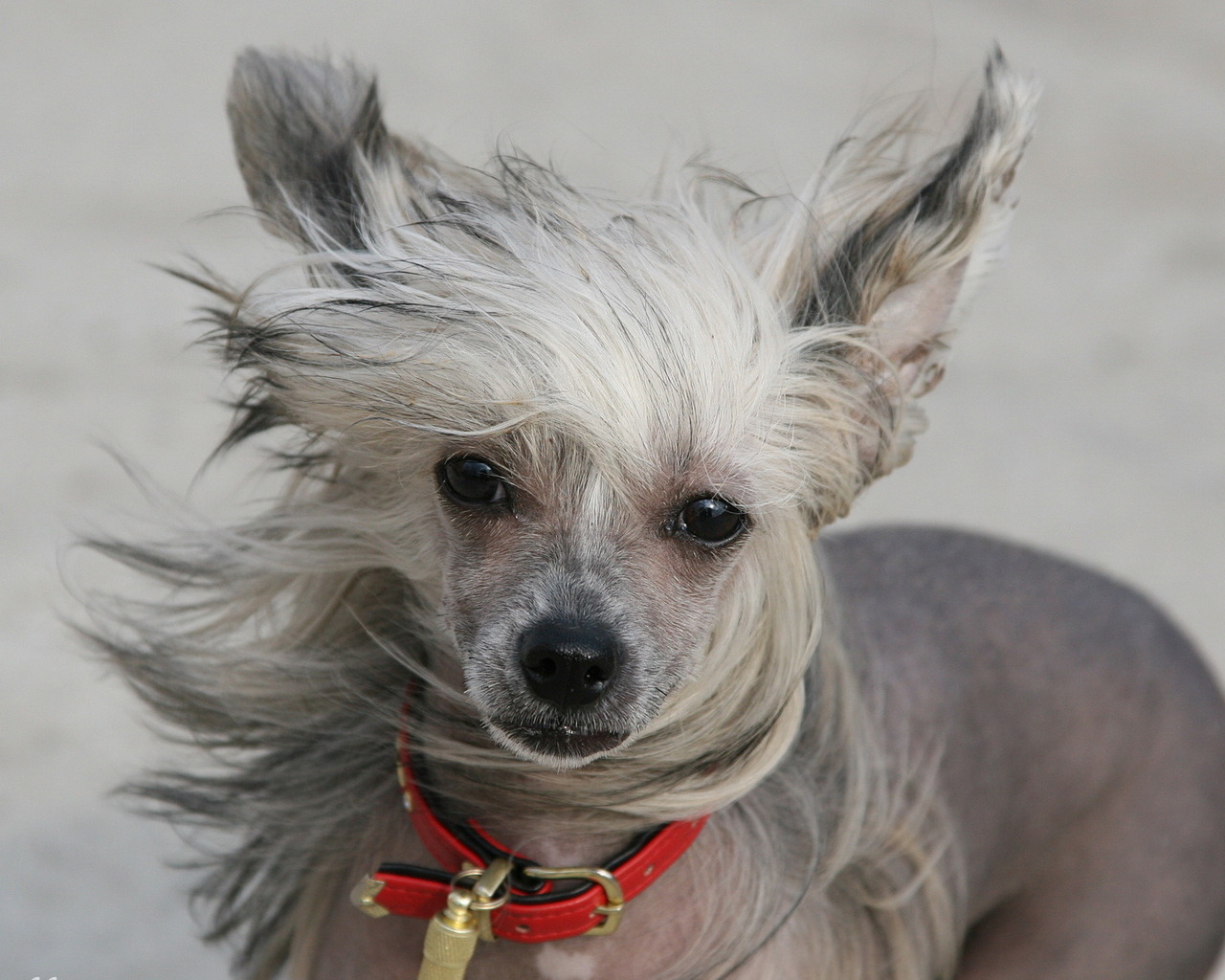 Добрый взгляд