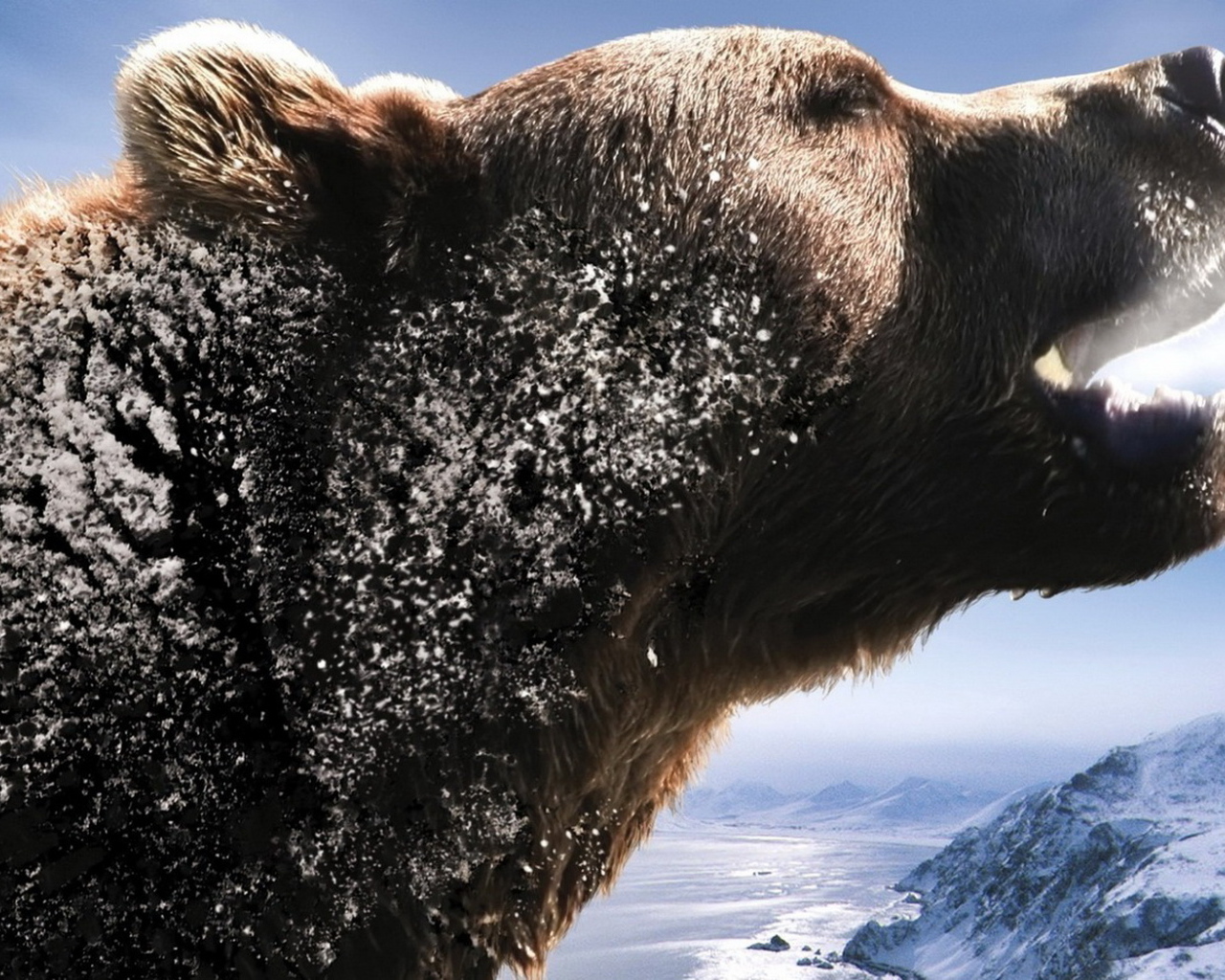 Рычащий медведь