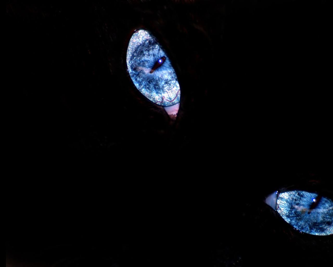 Эти глаза напротив