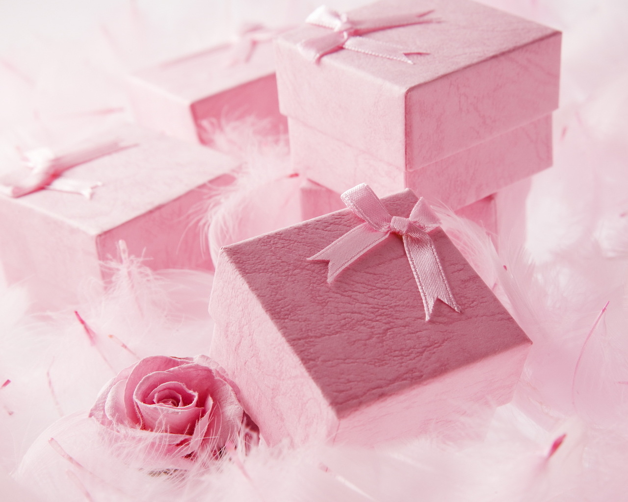 Долгожданные подарки