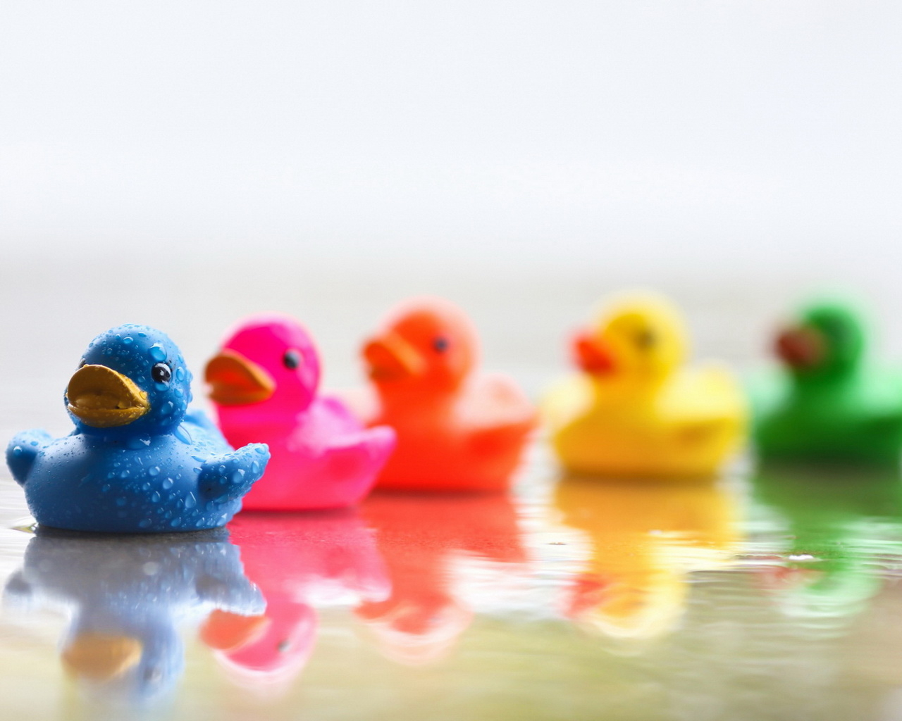 Цветные уточки