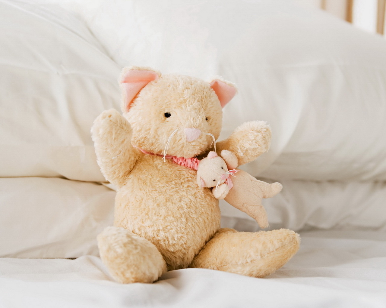 Плюшевые кошка и мышка