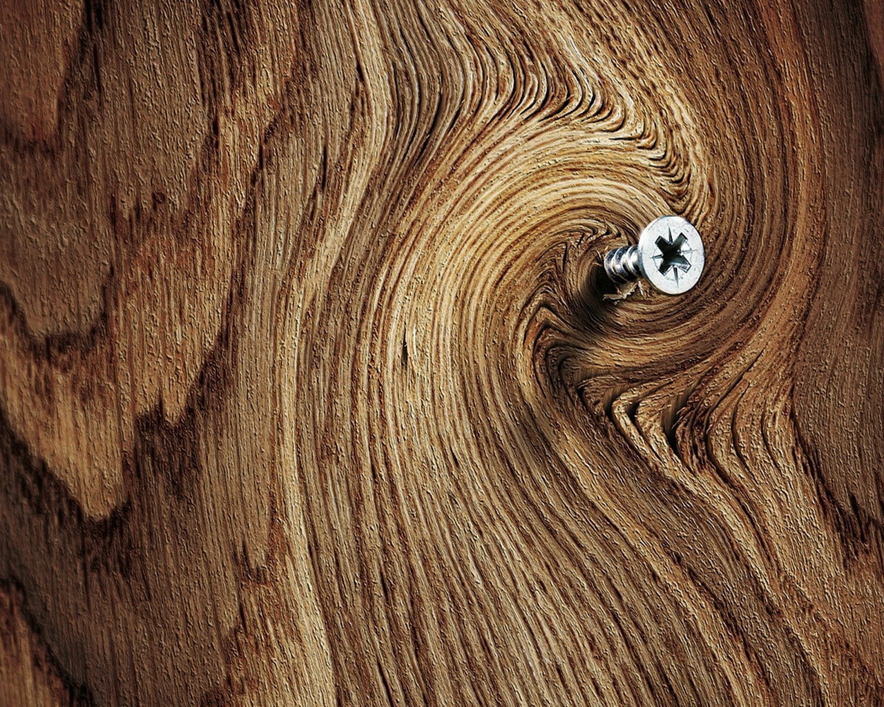 Саморез в доске