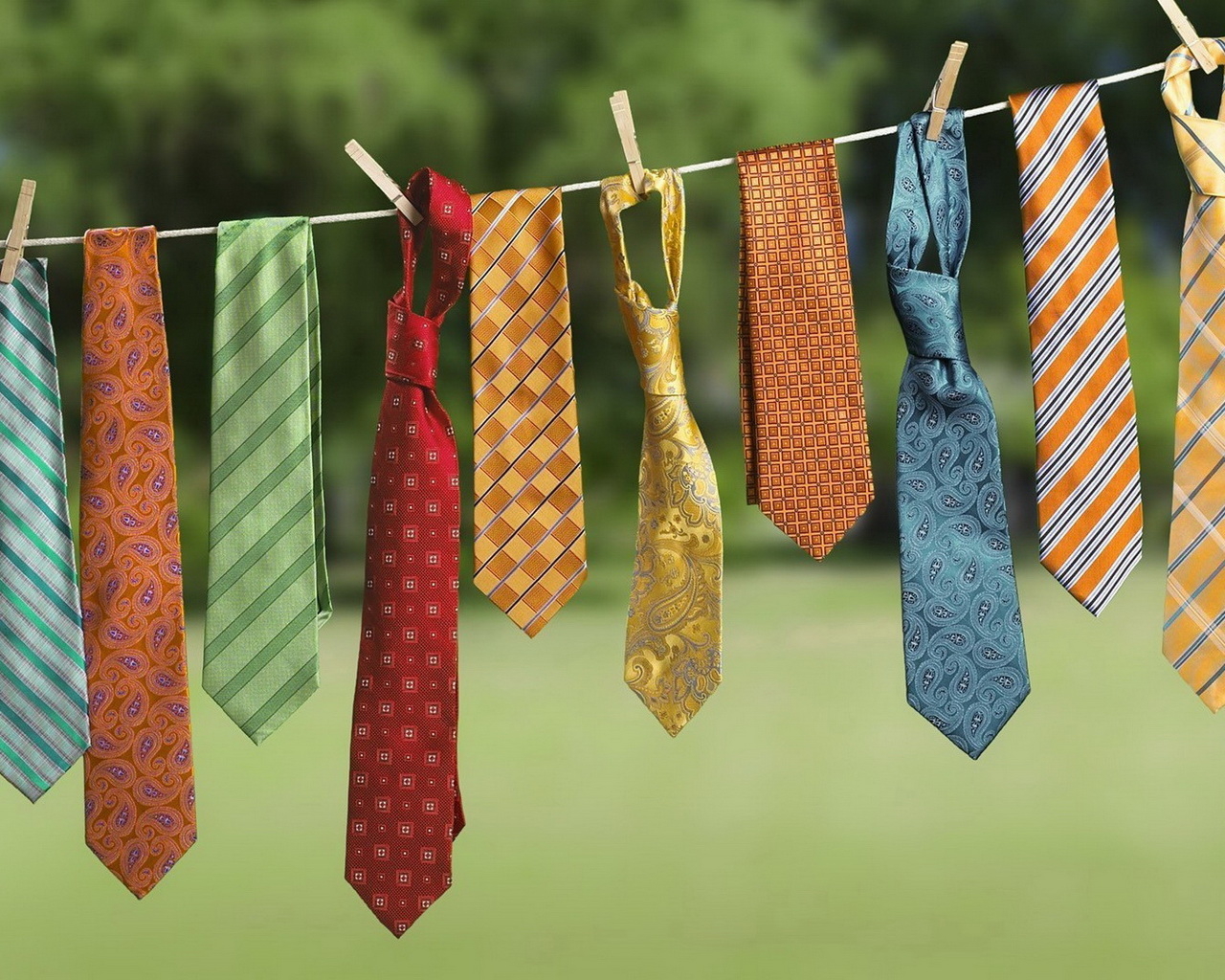 Галстуки на просушке