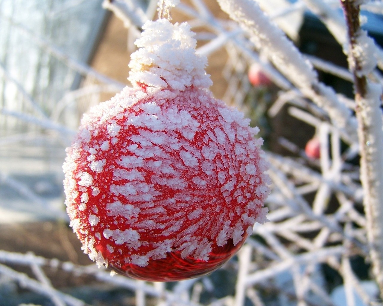 Оледеневший шар