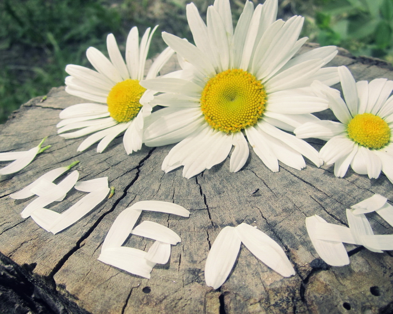 надпись Люблю