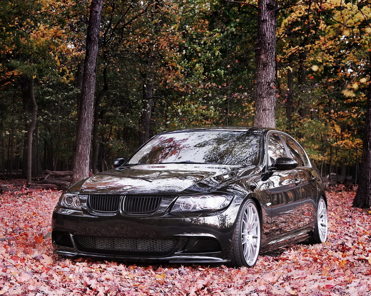 BMW 335i
