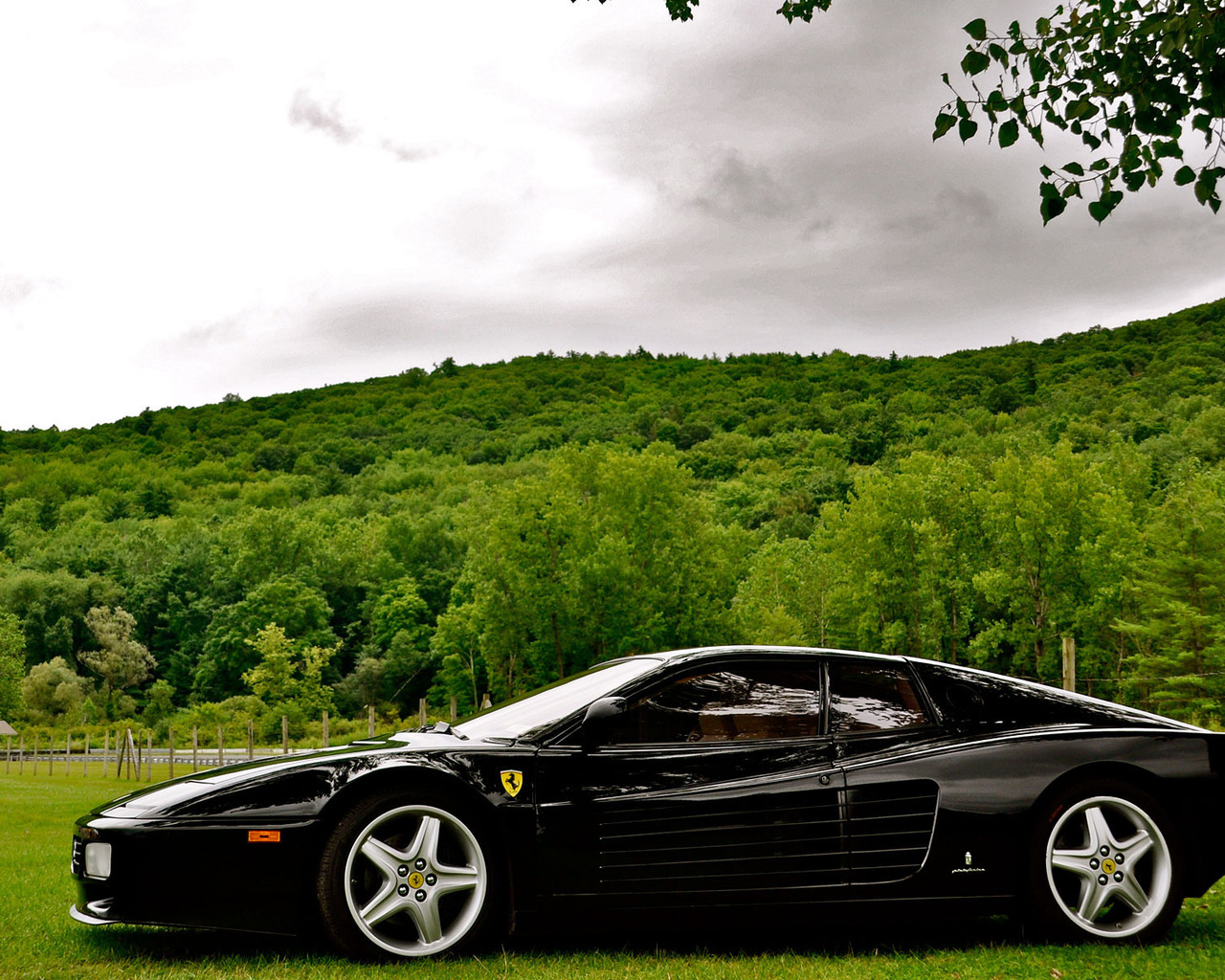 Ferrari черный