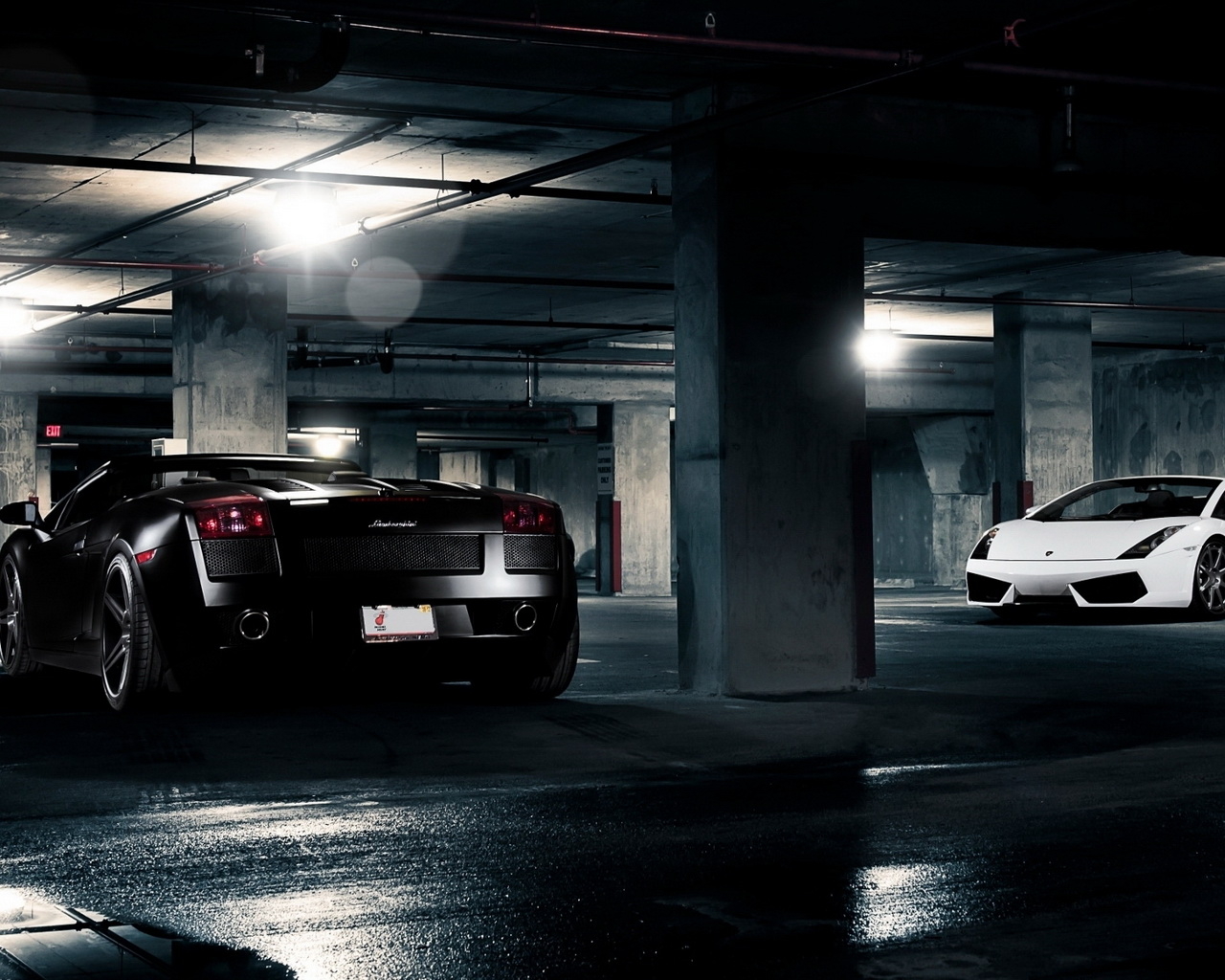 Lamborghini Gallardo White and Black