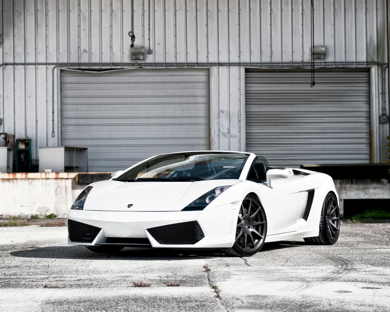 white Lamborghini Gallardo