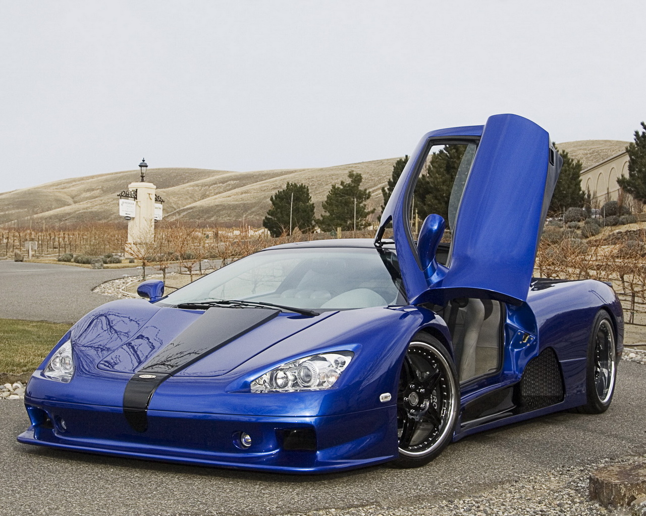 Shelby Ultimate Aero